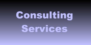 Consulting Services